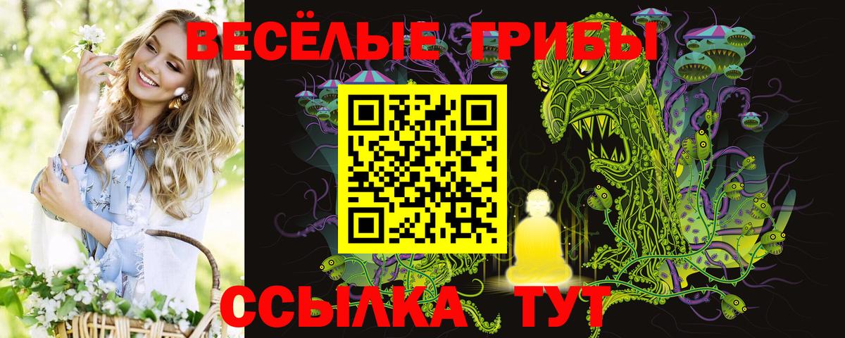 Псилоцибиновые грибы GOLDEN TEACHER  Галлюциногенные грибы прущие грибы  Вход с VPN  дарнет шоп  Дивногорск 