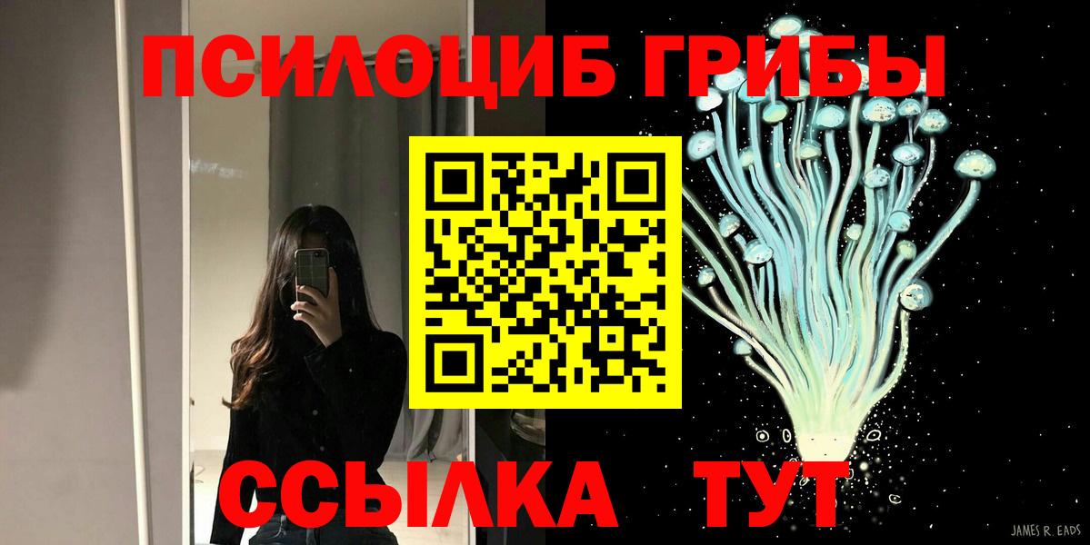 Галлюциногенные грибы мицелий Дивногорск