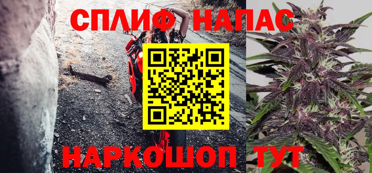 Бошки марихуана план  Канабис тримм  Вход с VPN  Шишки марихуана конопля  Дивногорск 